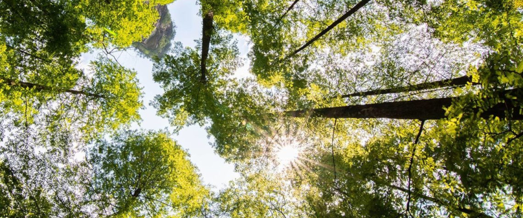 Sustainability