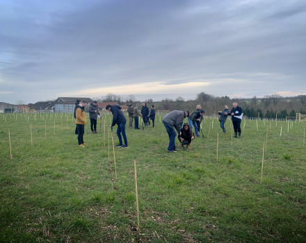 Planting the Morgan Sindall Group woodlands