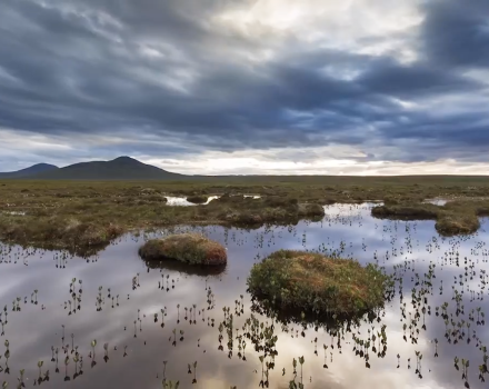 Morgan Sindall Group investiert in den Klimaschutz durch die Wiederherstellung von Torfmooren